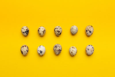 Quail Egg Powder: The Top Natural Allergy Fighter