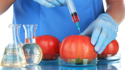 Genetically Modified Foods: Pros, cons & how to avoid them