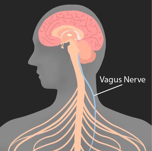 Neurological treatment for inflammation