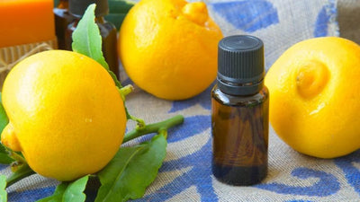 Bergamota: Aceite saludable