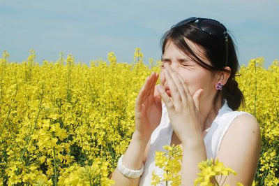 Maneras de mantenerse libre de alergias esta temporada