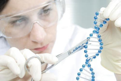 Tus genes no son tu destino: la promesa de la epigenética