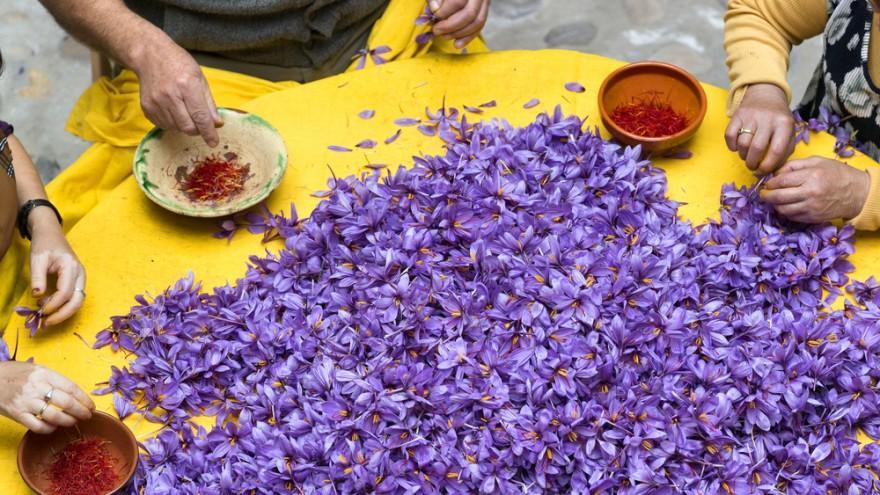 Saffron’s Health Benefits