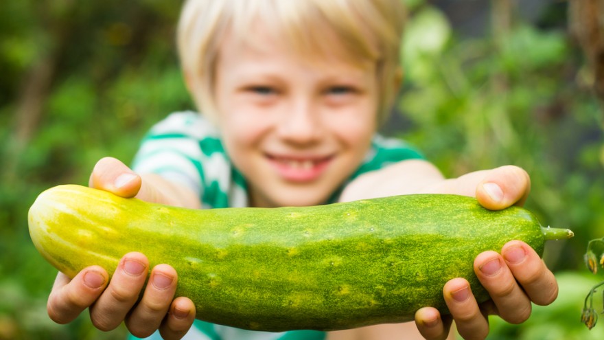 Cucumber’s Amazing Health Benefits