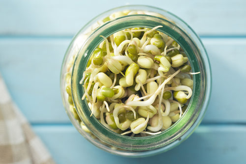 Sprouted Foods Health Benefits