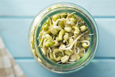 Sprouted Foods Health Benefits