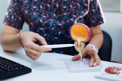 Prostate Health 101: What Men Need to Know