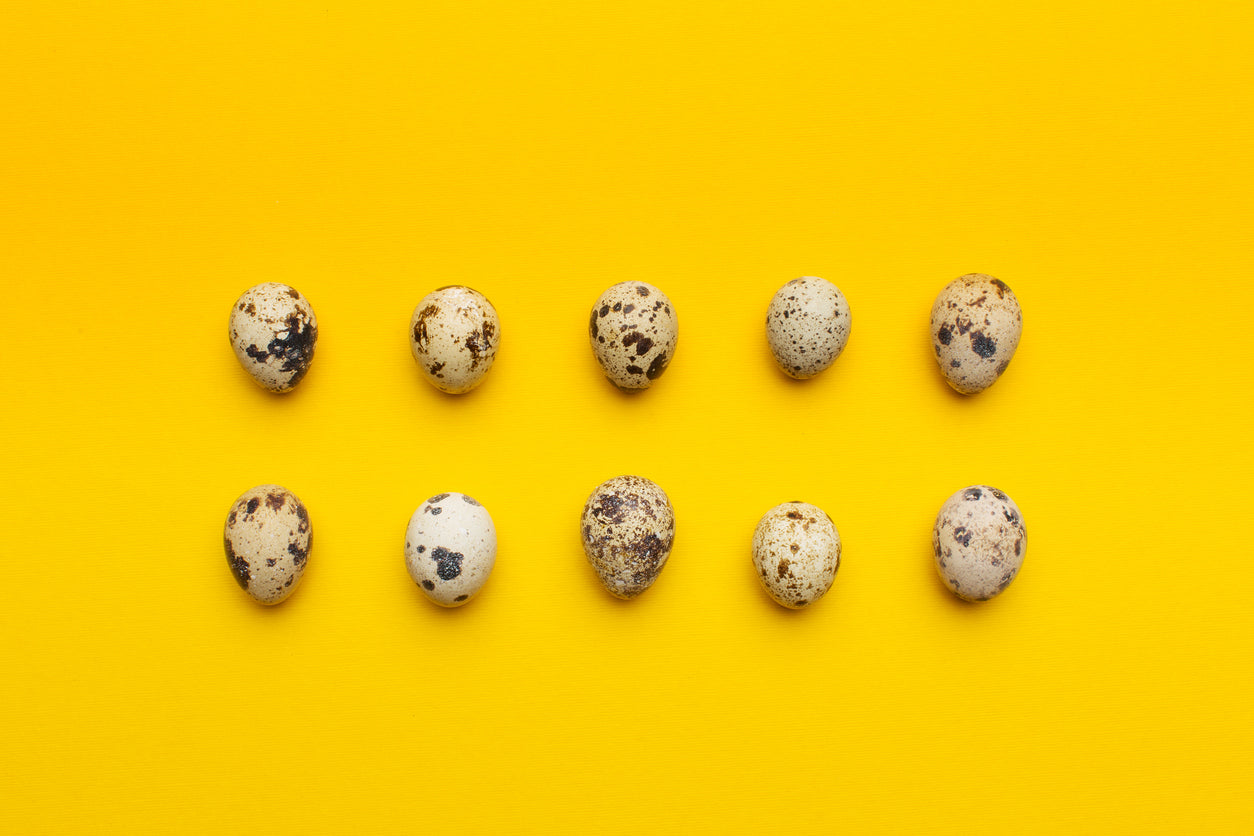 Quail Egg Powder: The Top Natural Allergy Fighter