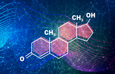 Tips to Boost Testosterone Naturally