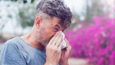 Alternativas antihistamínicas naturales